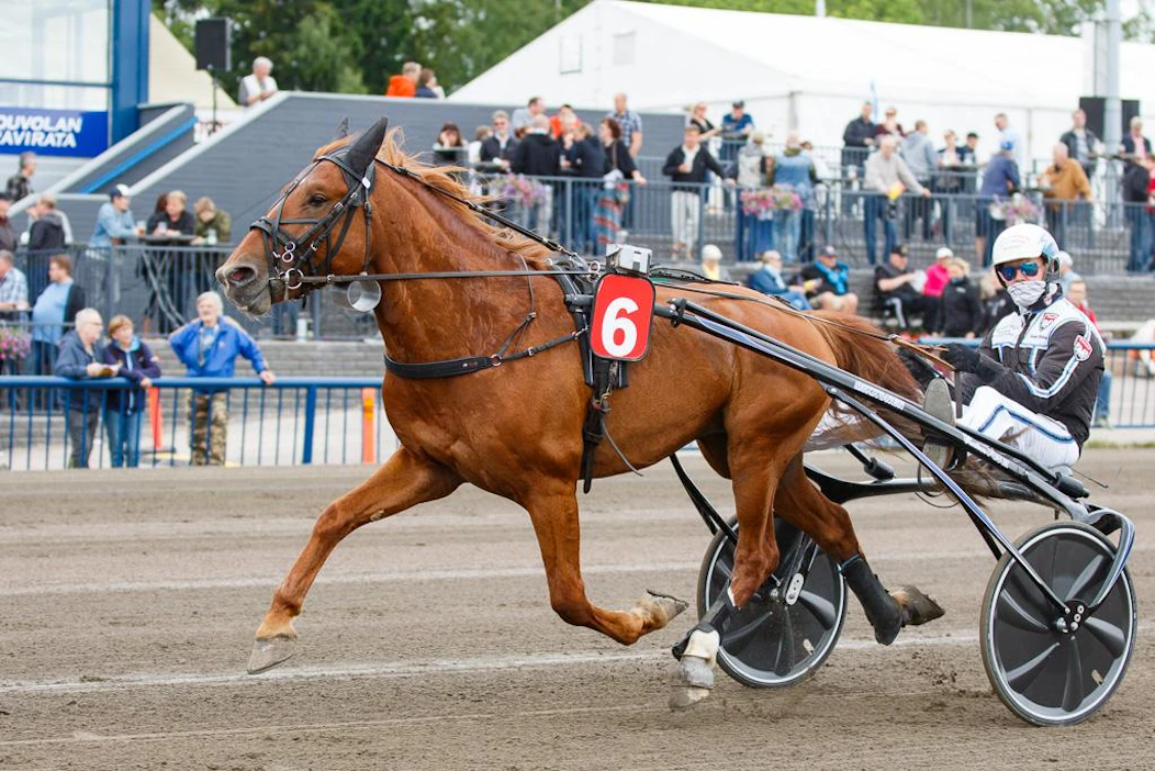 Rupeltaja avasi uransa kasvattajansa Heikki Mikkosen valmennuksesta. Sen jälkeen ruunan tie vei Pihtiputaalle, mistä Rupeltaja muutti syksyllä Vieremälle. Viisasten kiveä ruunaa riivaavaan epävarmuuteen etsii seuraavaksi Janita Antti-Roiko.