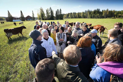 Isäntäpariskunta Aino ja Mikael Wathén esittelivät 51 luomulehmän karjaansa eurooppalaisille maataloustoimittajille maanantaina Hausjärvellä.