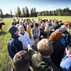 Isäntäpariskunta Aino ja Mikael Wathén esittelivät 51 luomulehmän karjaansa eurooppalaisille maataloustoimittajille maanantaina Hausjärvellä.