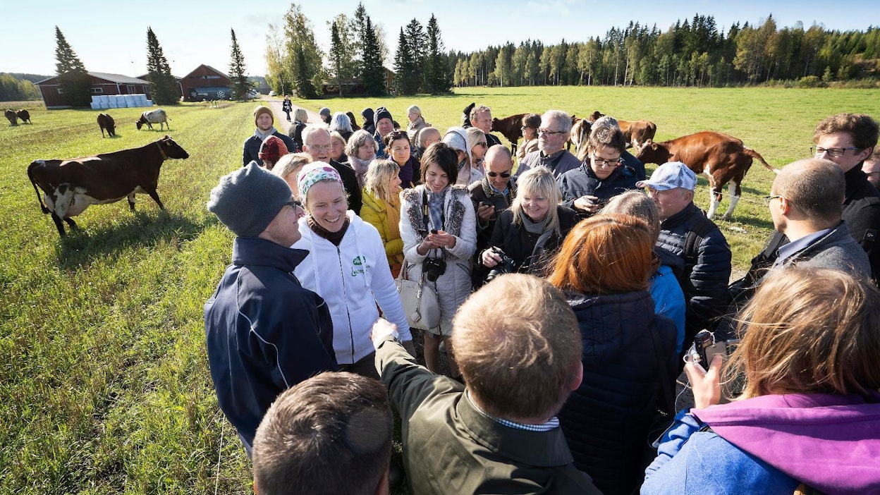 Isäntäpariskunta Aino ja Mikael Wathén esittelivät 51 luomulehmän karjaansa eurooppalaisille maataloustoimittajille maanantaina Hausjärvellä.