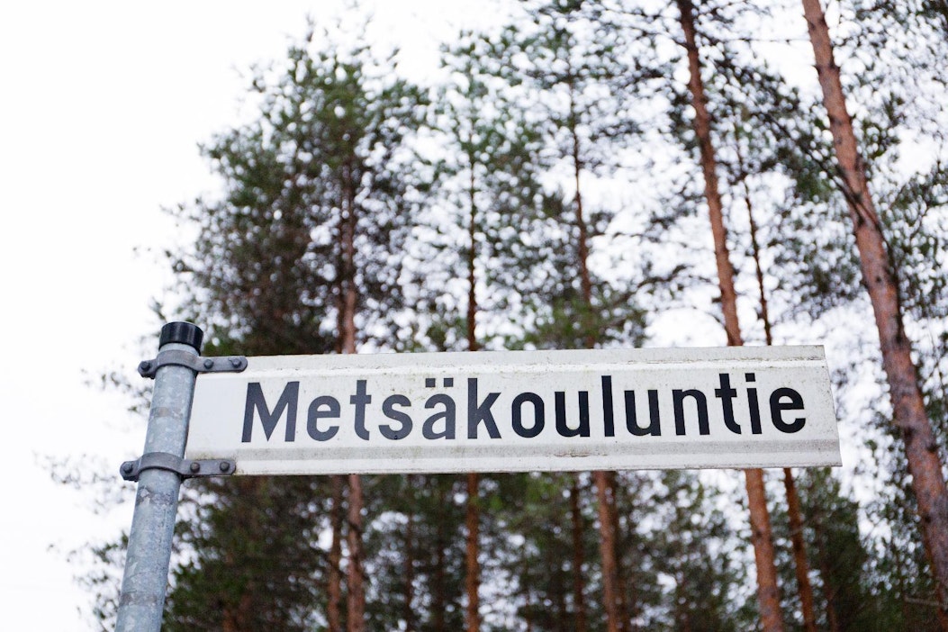 Tyypillinen untuvikko-metsänomistaja on 55–60-vuotias – tilan myyminen  ulkopuoliselle on vaikeaa - MT Metsä - Maaseudun Tulevaisuus