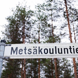 Moni suomalainen opettelee metsäasioita eläkeiän kynnyksellä.