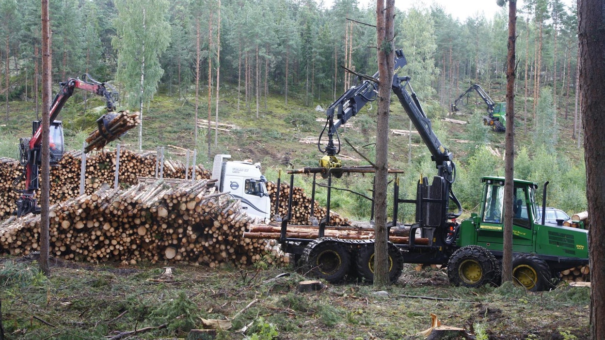 EU:ssa esitetty tiukka linjaus metsien hiilinieluista edellyttäisi, että Suomi joutuisi ostamaan päästökiintiöitä, jos hakkuita lisättäisiin 66 miljoonasta 80 miljoonaan kuutiometriin vuodessa.