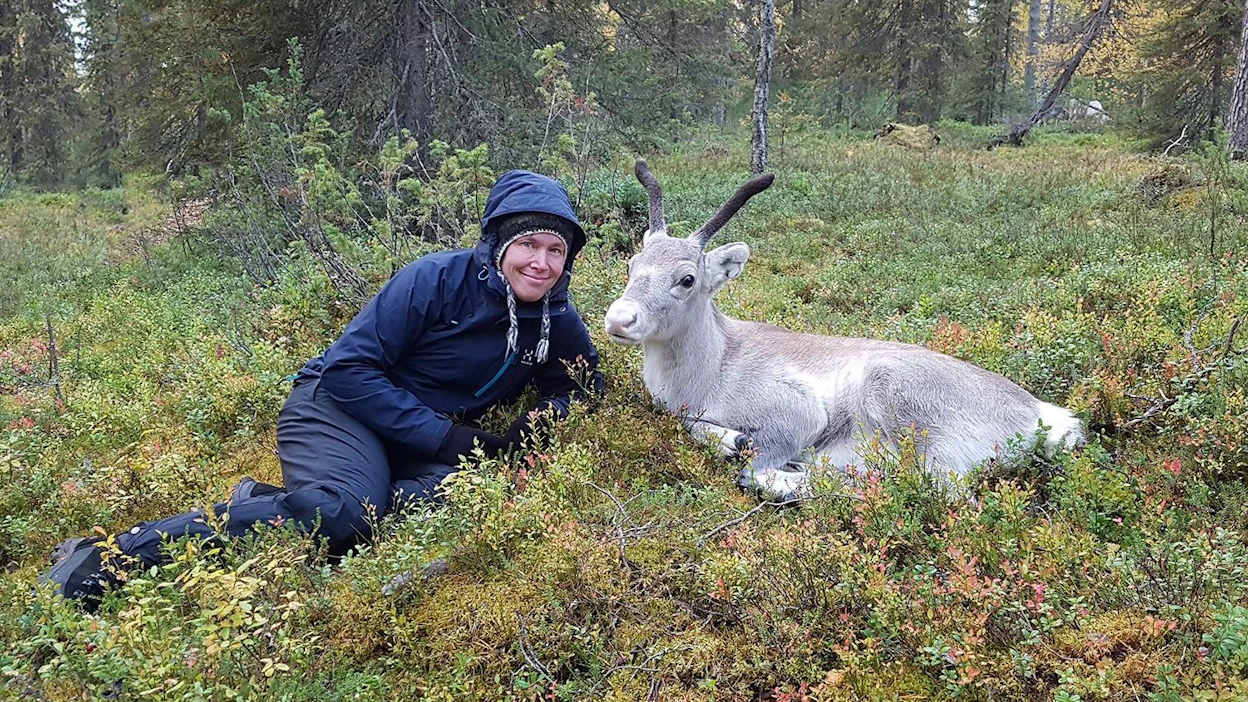 Tuire Kaimion mukaan villieläimiä ei pidä kesyttää, vaan elokuvaa pitää tehdä eläinten ehdoilla. Ailo-poro on elokuvan päätähti ja siihen Kaimiolla oli hyvä kontakti.