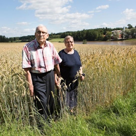Heikki Haavisto ja hänen puolisonsa Maija elävät Raisiossa Hintsan sukutilalla. Pelloilla kasvaa etupäässä viljaa ja öljykasveja.