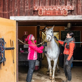 Vanhamäen tallilla Suonenjoella on hevosalan opiskelijoita työssäoppimisjaksolla. Siiri Jääskeläinen ja Ronja Tynnyrinen harjoittelivat tilalla viime syksynä.