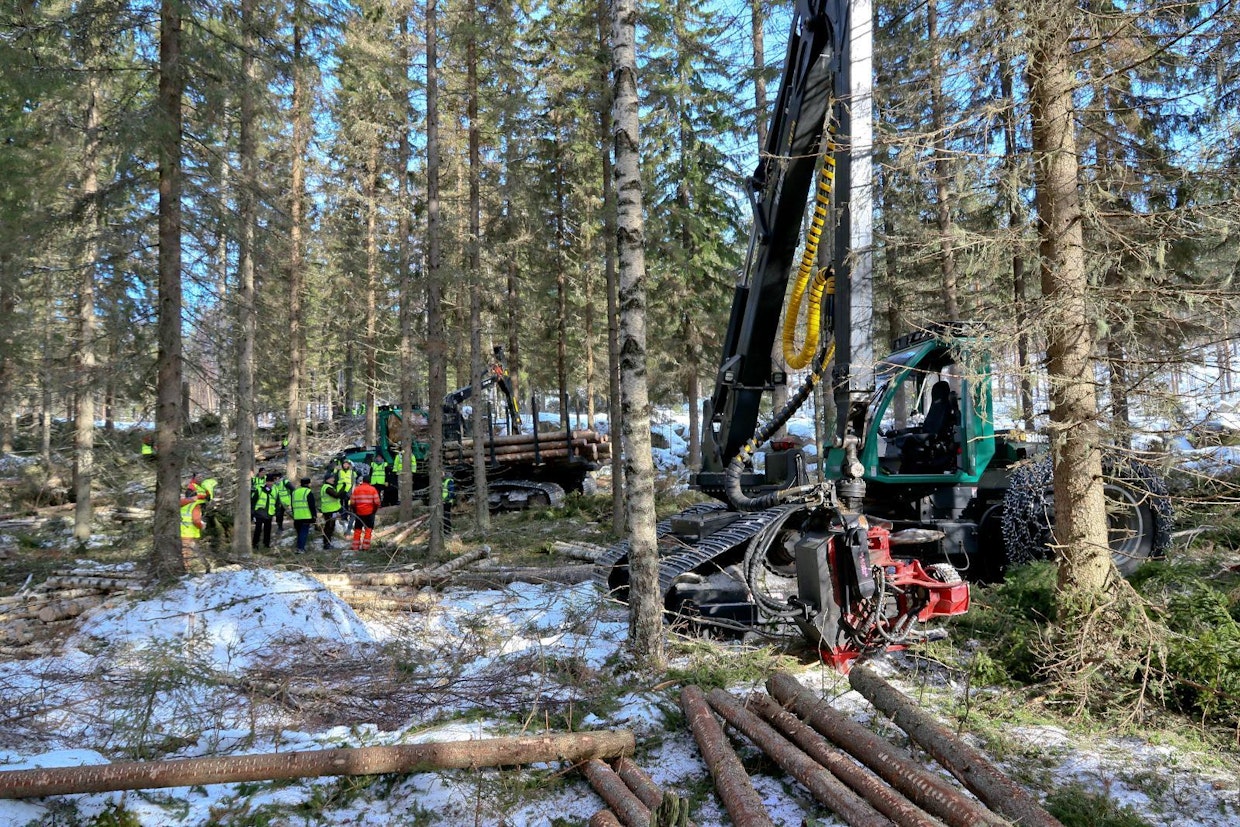Koska uusi tehdas käyttää kuitupuuta, se tarkoittaa suuressa määrin puun korjuuta harvennushakkuilta. Koneyrittäjille tämä tietää parempaa käyttöastetta koneille, sillä suurin osa tehtaan puusta kulkee nopealla ketjulla suoraan tehtaan portista sisään, kaikkina vuodenaikoina.