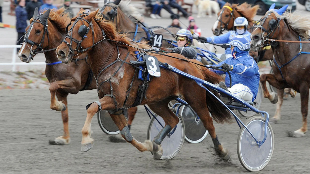 75-ravien alkamisaikaa aikaistetaan ensi vuoden alusta. Kuvassa Korven Liideri ja Jukka Mattila voittavat 75-lähdön Teivossa lokakuun Kriterium-raveissa.