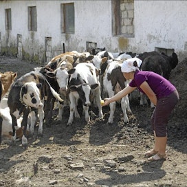 Lääkäriksi opiskeleva Valentina Ceavet toivoo voivansa rakentaa tulevaisuutta Moldovassa. Hän sai kymmenen vasikkaa karjatilan käynnistämiseen. Minna Rasku