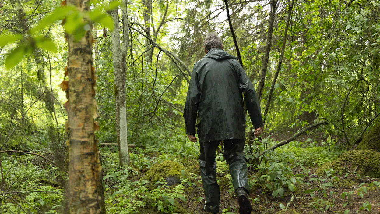 Metsäalalla mietitään nyt, millä keinoilla luonto- ja ilmastotavoitteisiin päästäisiin. Katse kääntyy metsänomistajiin.