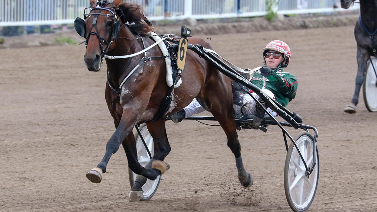 Ranch Kelly on Toto64-kierroksen suursuosikki.