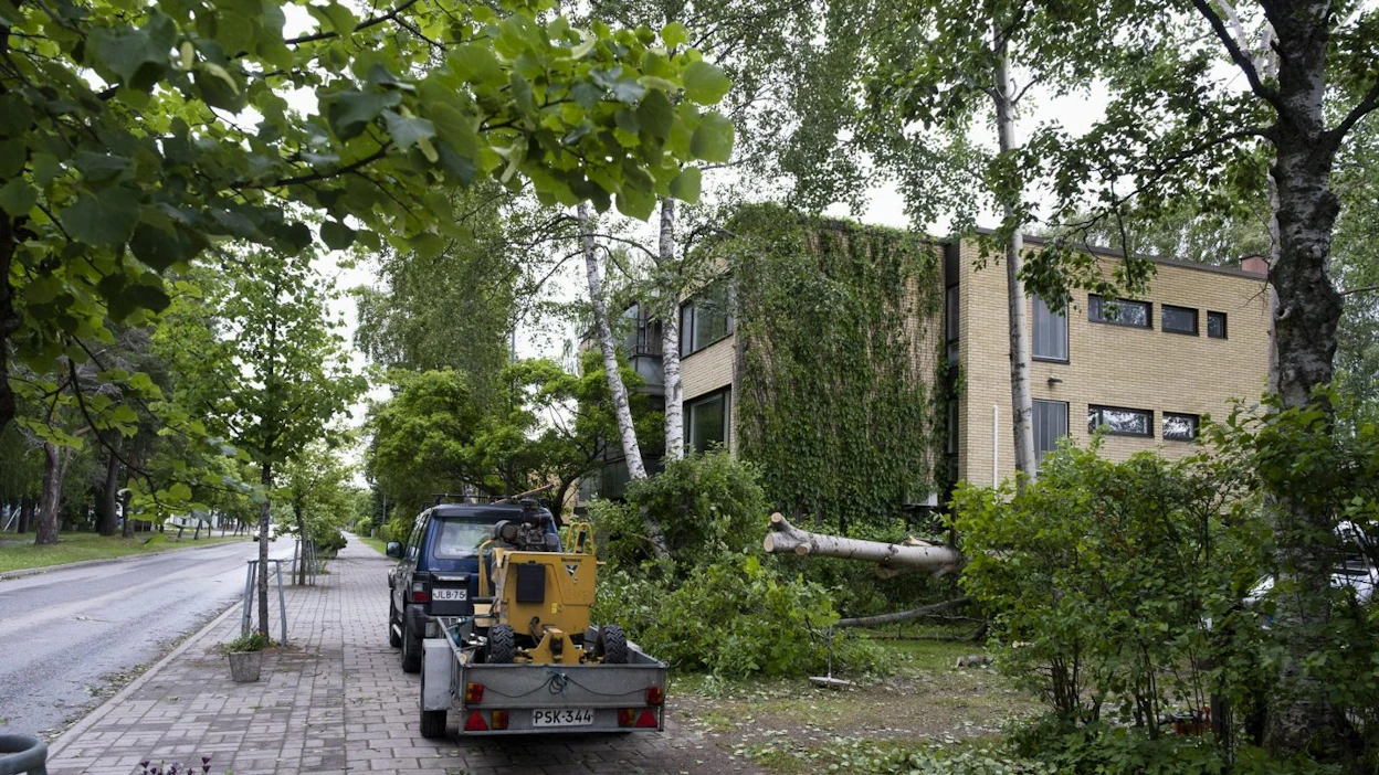 Tiistaista keskiviikkoaamuun riehunut Päivö-myrsky katkoi sähköt laajimmillaan peräti sadaltatuhannelta taloudelta. Kuva on Joensuusta. LEHTIKUVA / Minna Raitavuo