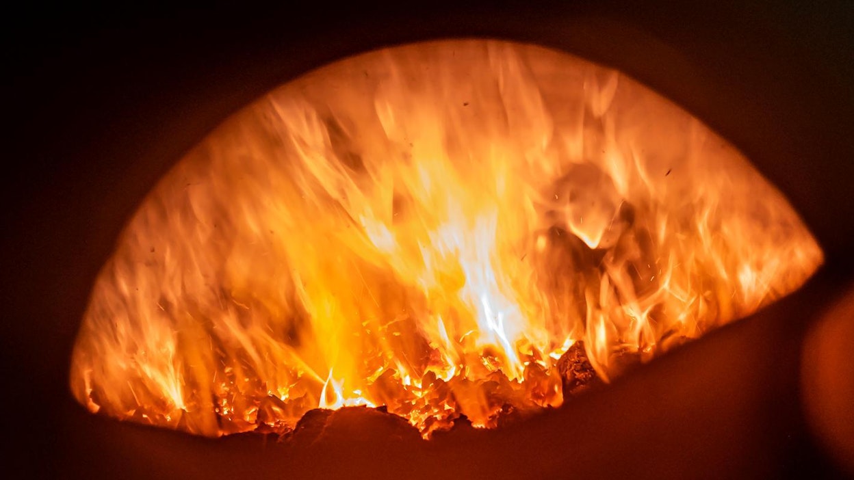 Greenpeacen mukaan ikihonkia päätyy paikoin polttokattiloihin.