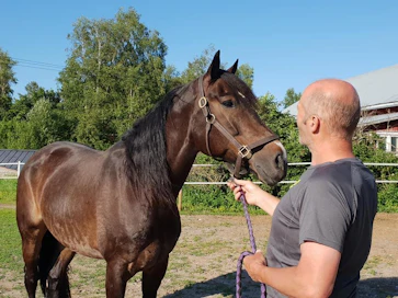Sjö Kongen ja Antti Ala-Rantala tekemässä tuttavuutta toisiinsa. Norjalainen Sjö Kongen saapui Suomeen maanantaina.