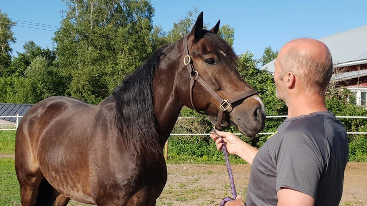 Sjö Kongen ja Antti Ala-Rantala tekemässä tuttavuutta toisiinsa. Norjalainen Sjö Kongen saapui Suomeen maanantaina.