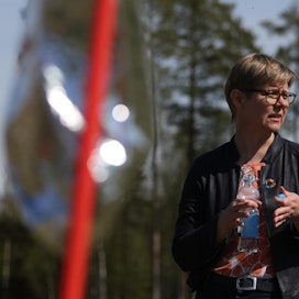 Kiteeläiset viljelijät eivät antaneet kiitosta ympäristöministeri Krista Mikkoselle (vihr.) valkoposkihanhiongelman hoitamisesta.