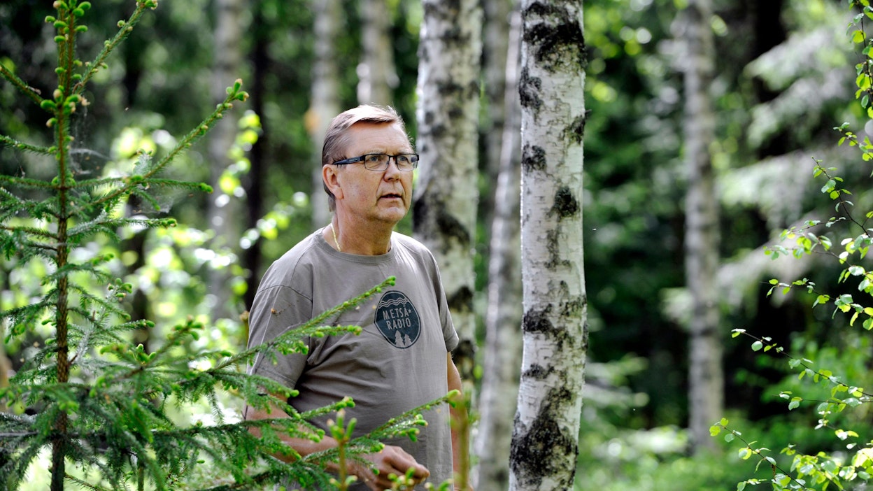 Urheiluselostaja Pertti Tapola haluaa pitää koivikkonsa edustuskunnossa.