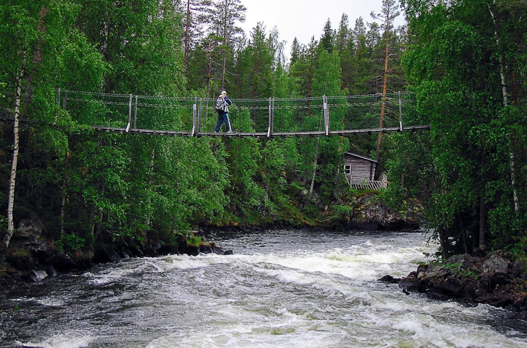 Viime vuonna kansallispuistojen kävijämäärät kasvoivat yhteensä 15 prosenttia.