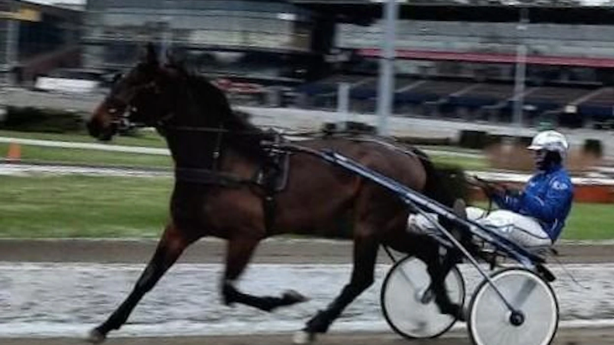 Roni Paldan ja tallinsa uusi värväys Greta Sisu, 11,3, hiitillä tänään Solvallassa.