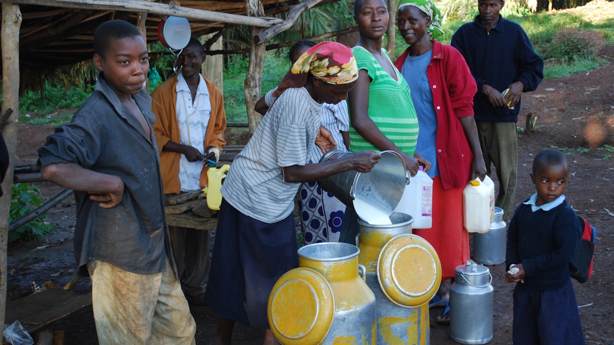 Kenialaisia tuomassa maitoa keruupaikalle, josta maito kuljetetaan edelleen meijeriin. Kirjoittajan mukaan koulutukseen satsaaminen edistäisi väestönkasvun hillitsemistä. Kuvituskuva.