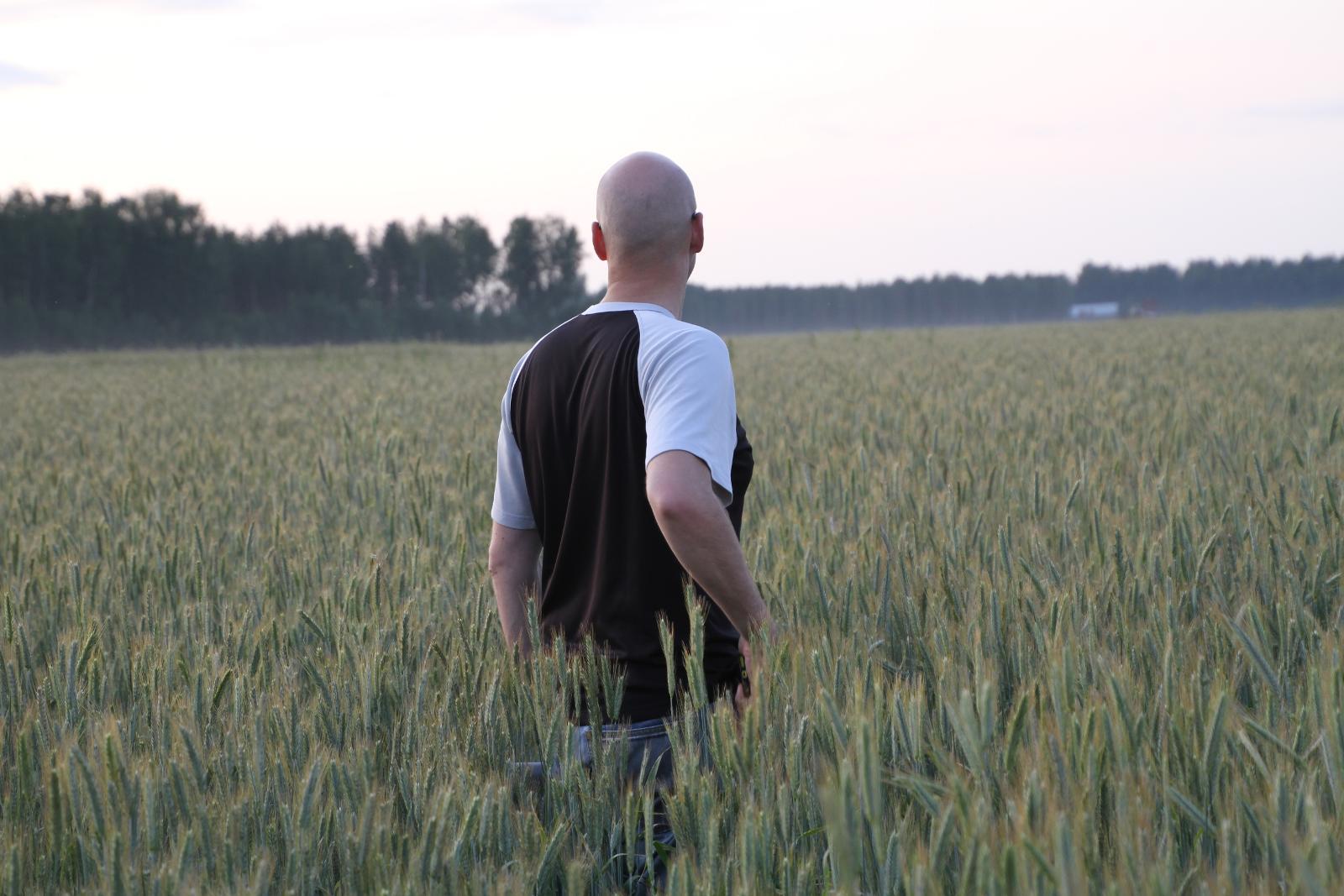 Mikko Mäki-Latvala tilan ruislohkolla heinäkuussa. Mäki-Latvaloiden ruispelto tuotti huippusadon.