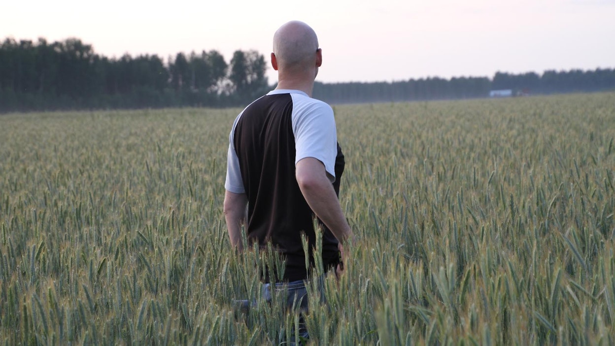 Mikko Mäki-Latvala tilan ruislohkolla heinäkuussa. Mäki-Latvaloiden ruispelto tuotti huippusadon.