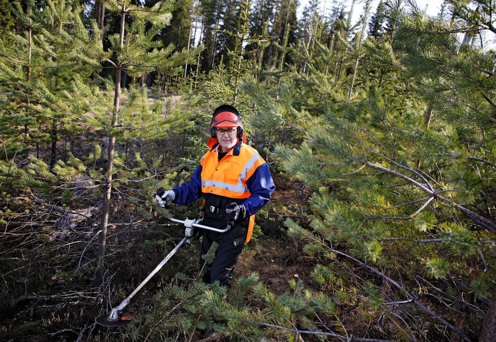 MTK:n metsävaltuuskunnan puheenjohtaja Mikko Tiirola odottaa saavansa puukaupoista HCV-alueilla käytännön tietoja elokuun aikana. Tiirolan omat metsät sijaitsevat Petäjäveden Kuivasmäessä, Keski-Suomessa.