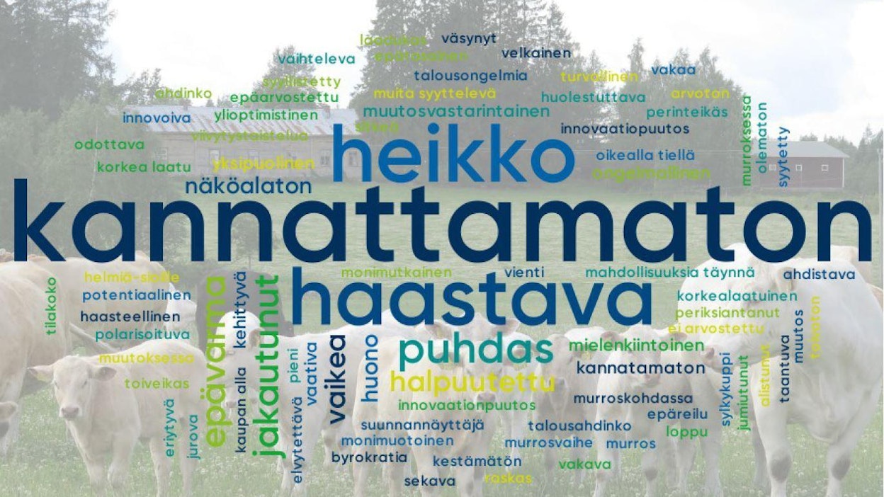 Nurmijärven cap-tilaisuuteen osallistujia pyydettiin kuvaamaan kolmella sanalla sitä, millaisena he näkevät oman maatilansa tilanteen tällä hetkellä. Sanat koottiin sanapilveksi, jossa suurimmalla näkyvät eniten käytetyt sanat.