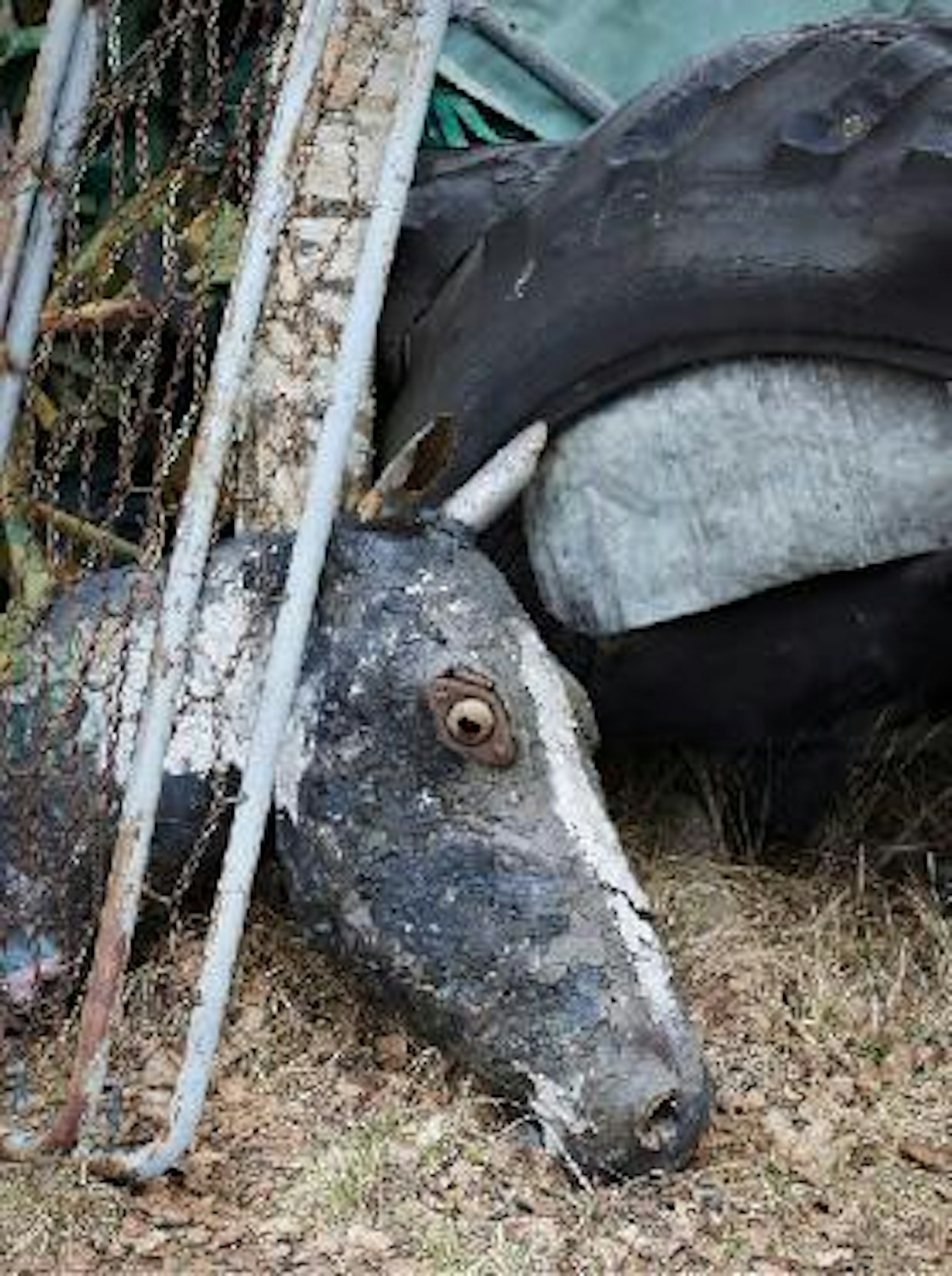 Ratsastaja-patsas on vielä vaiheessa.