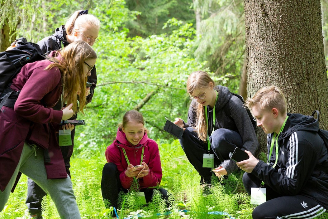 Metsävisassa nuoret pääsevät opiskelemaan metsäalalla tarvittavia taitoja.