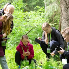 Metsävisassa nuoret pääsevät opiskelemaan metsäalalla tarvittavia taitoja.