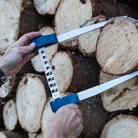Metsänomistaja saa tukkipuusta noin kolminkertaisen hinnan kuitupuuhun nähden, joten rungon katkonnalla on suuri merkitys kantorahatuloihin.