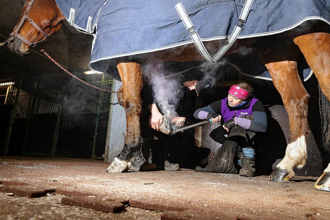 "Hienoinkaan avaruuskenkä ei auta hevosta, jollei ole ymmärretty, mikä on hevosen tilanne ja mitä vaikutuksia kengältä haetaan", sanoo Riina Villanen. Roope Lovén sovitti puoliveriratsu Simolle kenkiä.