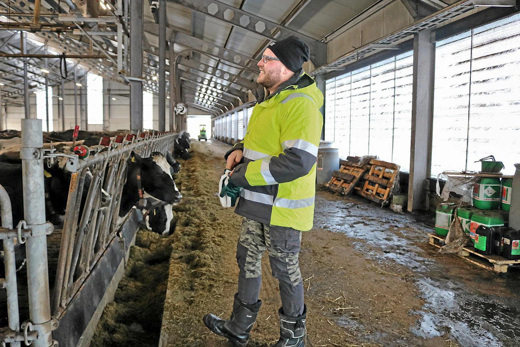 Vaalalainen Tapio Leinonen kehittää 200 lypsävän maitotilaa määrätietoisesti. Tavoite on saada tilasta tehokas ja toiminnallinen kokonaisuus.