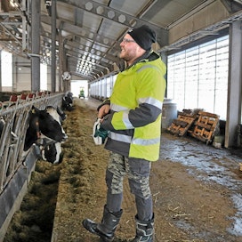 Vaalalainen Tapio Leinonen kehittää 200 lypsävän maitotilaa määrätietoisesti. Tavoite on saada tilasta tehokas ja toiminnallinen kokonaisuus.