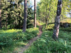 Paikalliset metsänomistajat olisivat halunneet jatkaa Evon alueen kehittämistä Metsähallituksen suunnitelmien pohjalta retkeilyalueena.