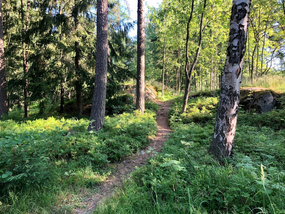 Paikalliset metsänomistajat olisivat halunneet jatkaa Evon alueen kehittämistä Metsähallituksen suunnitelmien pohjalta retkeilyalueena.