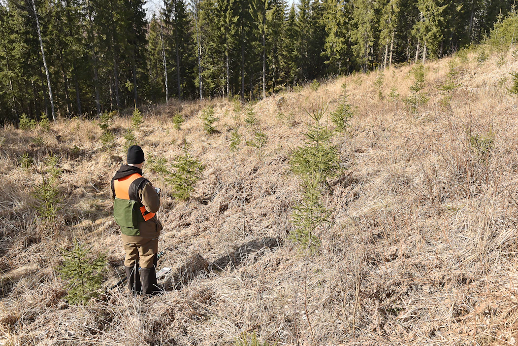 Muutosneuvotteluiden jälkeen metsänhoitoyhdistys Keski-Suomessa työskentelee 41 toimihenkilöä.