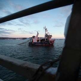 Itämeren maiden kalastuksesta vastaavat virkamiehet keskustelevat keskiviikkona ja torstaina Helsingissä komission kalastuskiintiöitä koskevasta esityksestä. Arkistokuvan silakan troolipyynnistä.