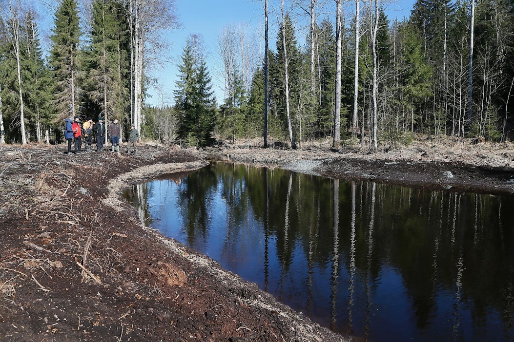 Laskeutusaltaan tehtävä on pidättää maa-aineista.
