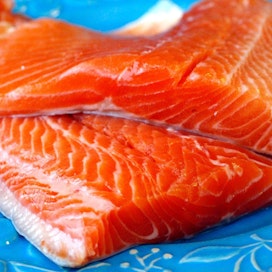 Kotimaista kaloista syödään eniten viljeltyä kirjolohta.
