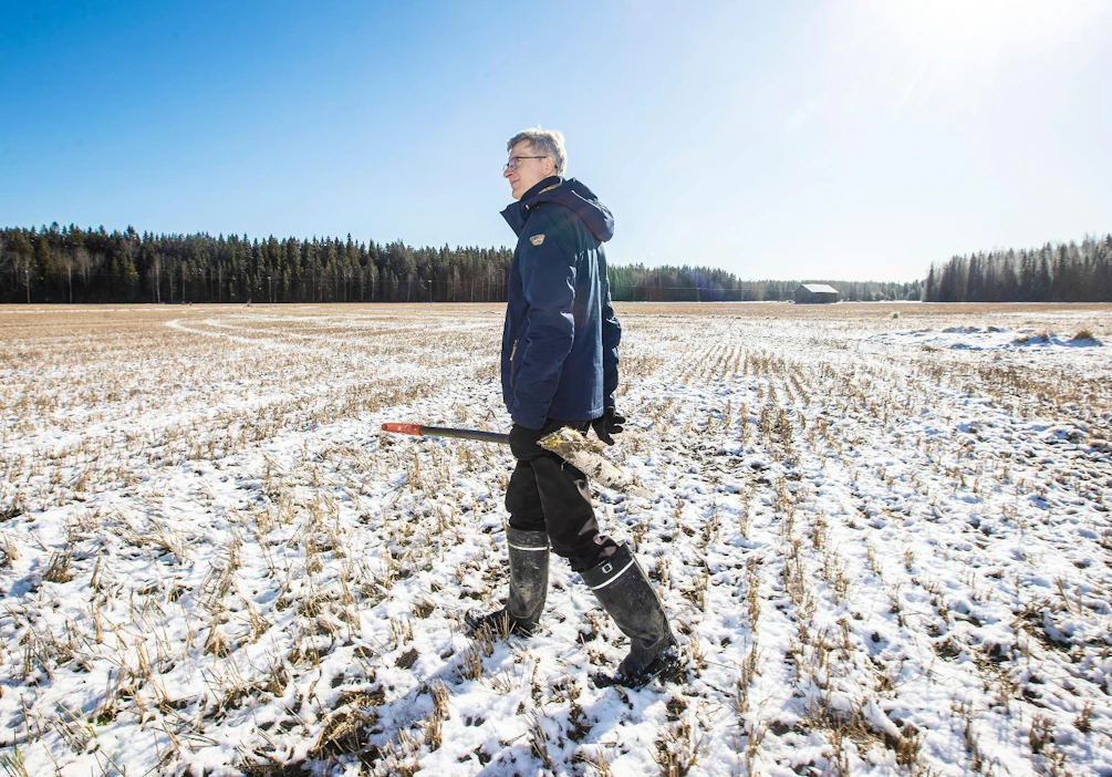 Erikoistutkija Hannu Känkänen Lukelta on tutkinut kerääjäkasveja yli 20 vuoden ajan. Hyödyt ovat kiistattomia, mutta hyvin onnistuneita kohteita voisi olla enemmän.