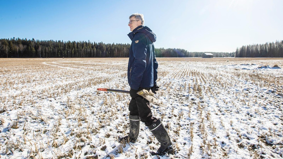 Erikoistutkija Hannu Känkänen Lukelta on tutkinut kerääjäkasveja yli 20 vuoden ajan. Hyödyt ovat kiistattomia, mutta hyvin onnistuneita kohteita voisi olla enemmän.