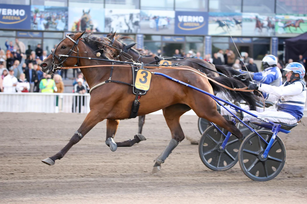Derbyssä 2021 koettiin tammaenergiaa jo toista vuotta peräkkäin. Keulan Magical Princess veti varmoin ottein maaliin saakka ennen An-Dorraa. Nyt kaksikko kohtaa jälleen Lappeenrannassa.