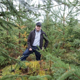 Kangasalalainen metsänomistaja Matti Rauhalahti on tyytyväinen siitä, että suomalaisten huoli otettiin vakavasti Euroopan parlamentissa. Hänen omissa metsissään pitkäjänteinen metsänhoito on tuottanut hyviä tuloksia: puuston kasvu on lisääntynyt ja samalla myös arvokkaita luonto­kohteita on voitu vaalia.