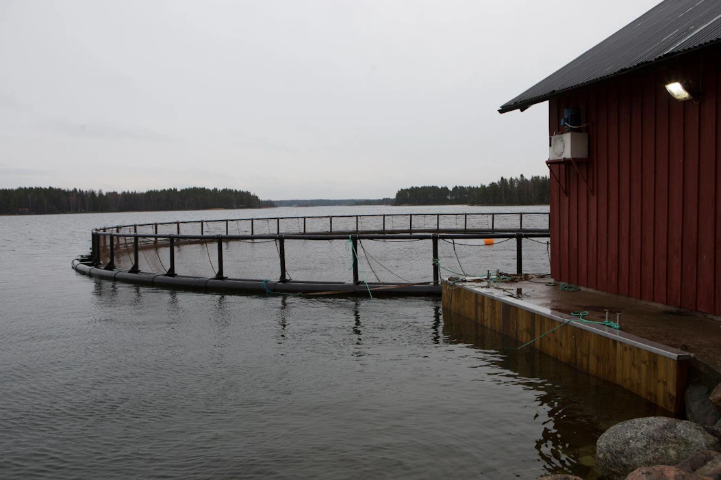Ravinnekuormituksen vähentymisestä ja kasvatustehon parantumisesta on etua sekä elinkeinolle että ympäristölle.