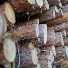 Metsäteollisuus ry:n jäsenten ostot ovat vähentyneet 27 prosenttia viimevuotisesta.