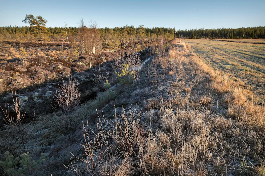 Turvemaiden aiheuttamia kasvihuonekaasupäästöjä voitaisiinkin vähentää siirtämällä vajaatuottoisia turvepeltoja pois viljelykäytöstä.