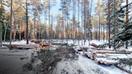 Koneviestin Fransgårdin juontokouravinssiyhdistelmän kokeilussa työskenneltiin suokuviolla, jonka hakkuu sisälsi normaalia harvennusta, yläharvennusta ja pienaukkohakkuuta. Tällaisissa kohteissa omatoiminen hakkuu varmistaa, että korjuujälki on juuri sellaista kuin halutaan.