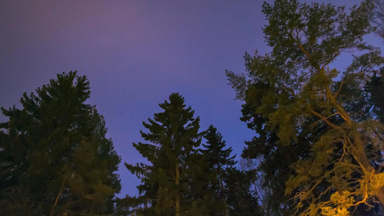 Suomalaisetkin viettävät Halloweenia, mutta millainen on kotimainen kauhutarinaperinne? Se selviää Sarka-museon teemakierroksella.